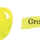 a green apple on white background with text that reads "Grow!"