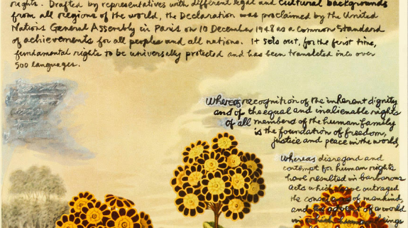 The Universal Declaration of Human Rights handwritten on an illustration of orange flowers